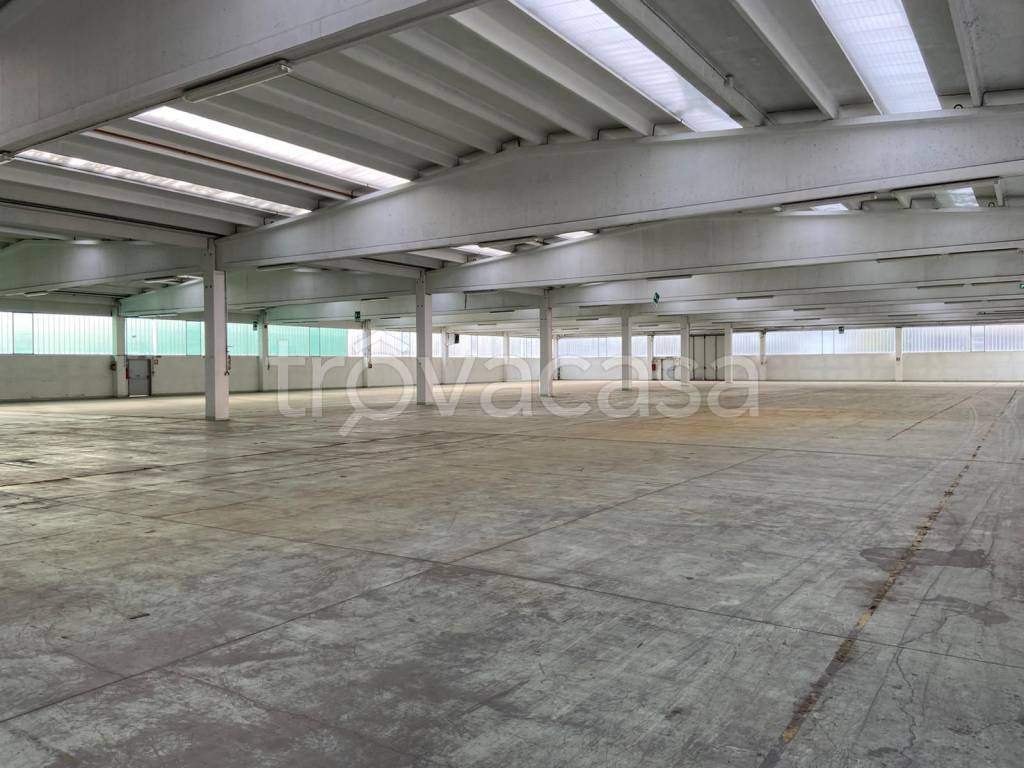 immagine annuncio 6 di 14