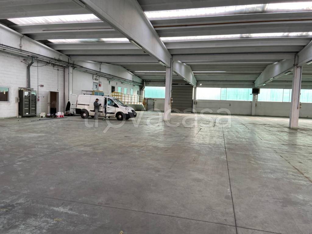 immagine annuncio 7 di 14