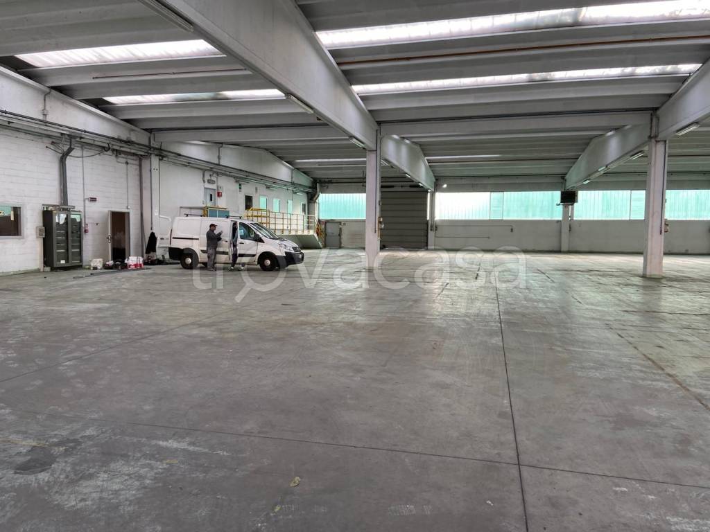 immagine annuncio 8 di 14