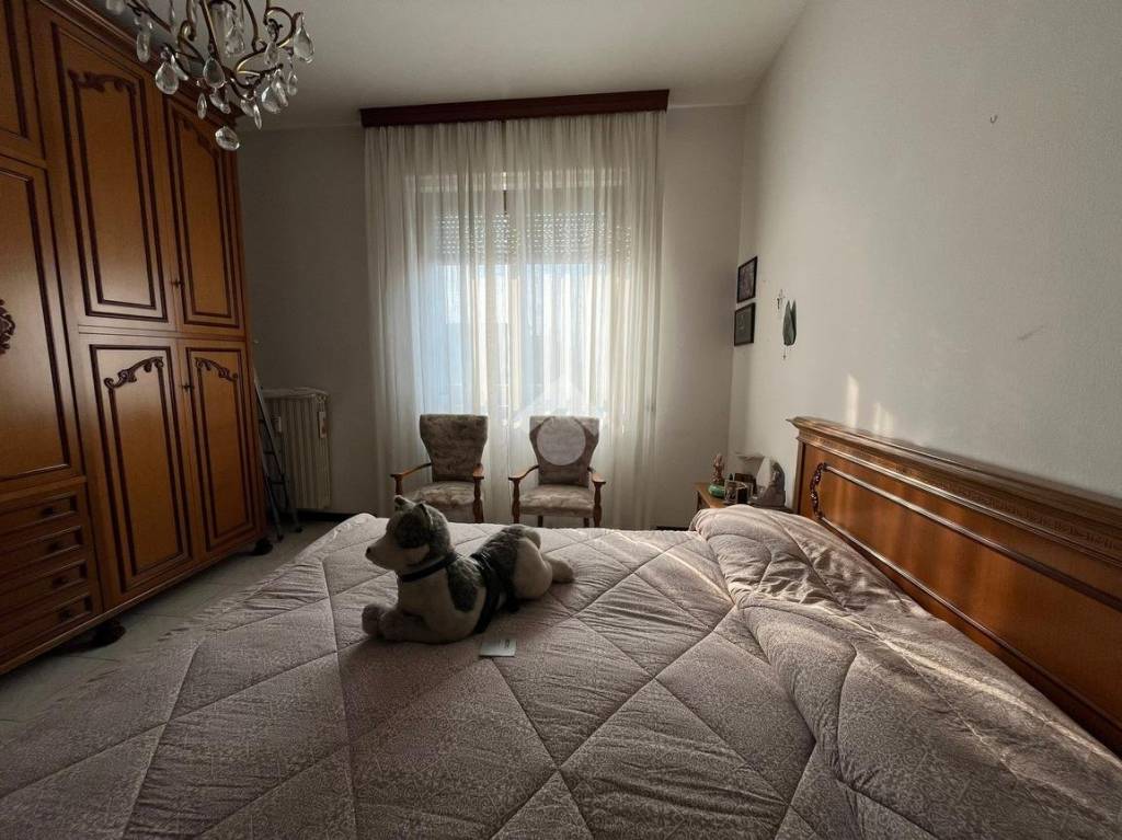 immagine annuncio 6 di 14