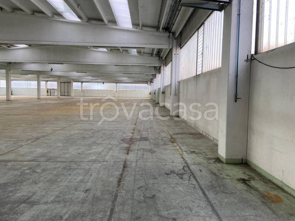 immagine annuncio 9 di 14