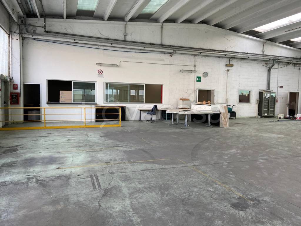 immagine annuncio 10 di 14