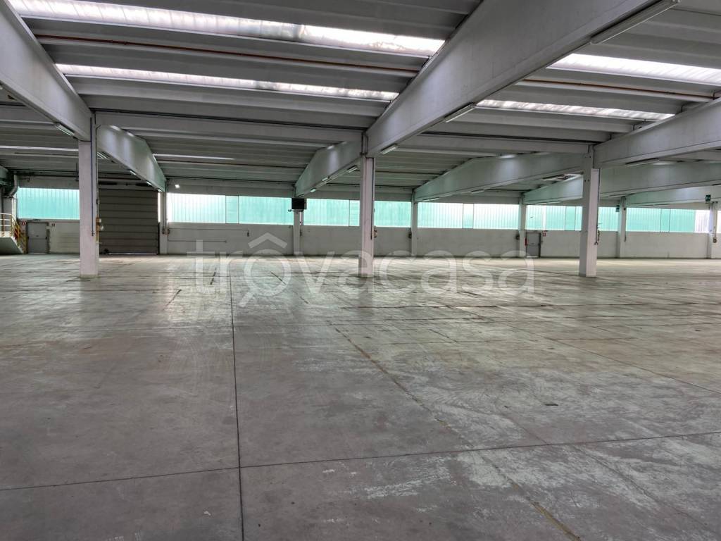 immagine annuncio 11 di 14