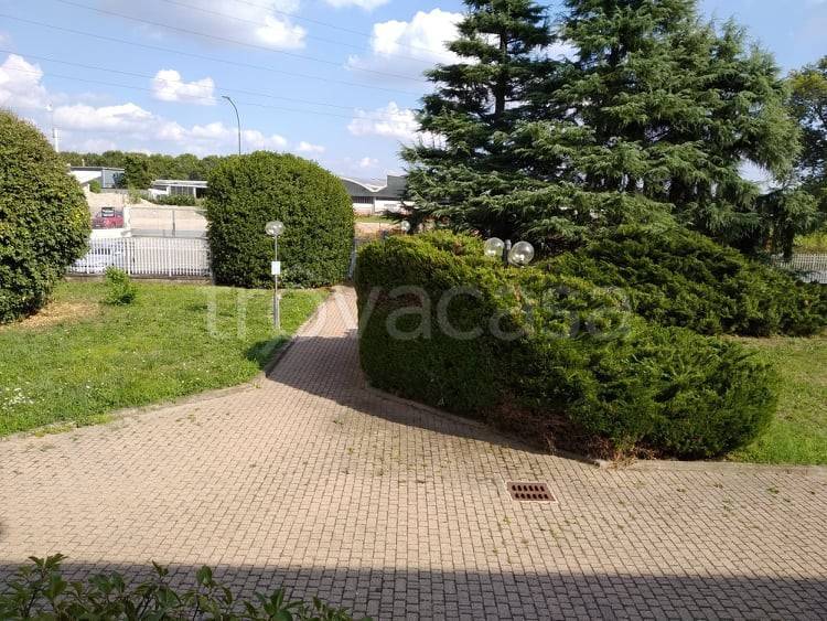 immagine annuncio 2 di 14