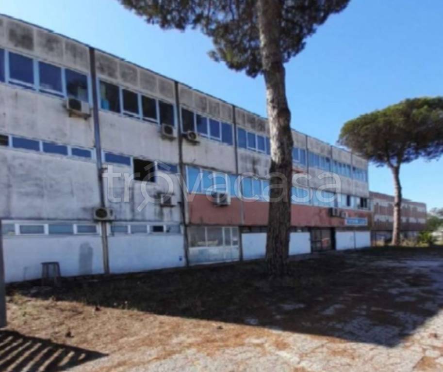 immagine annuncio 9 di 13