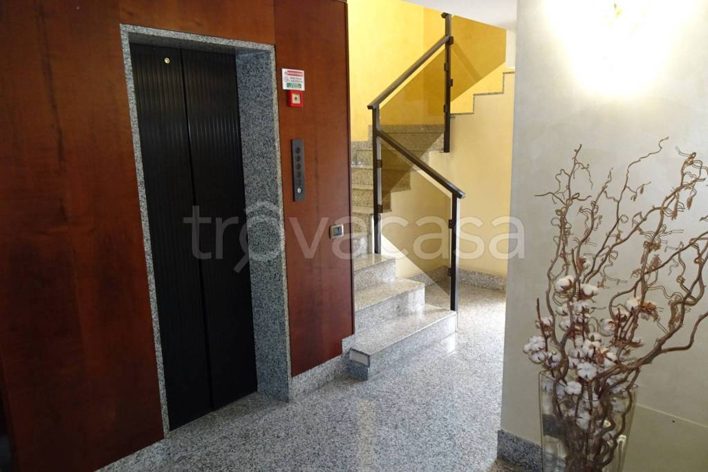 immagine annuncio 10 di 14