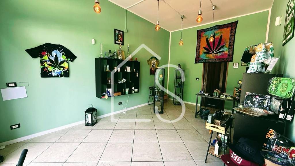 immagine annuncio 4 di 7