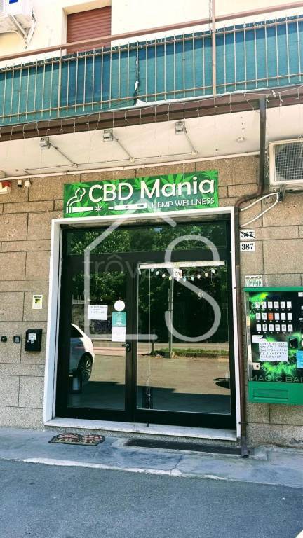 immagine annuncio 6 di 7