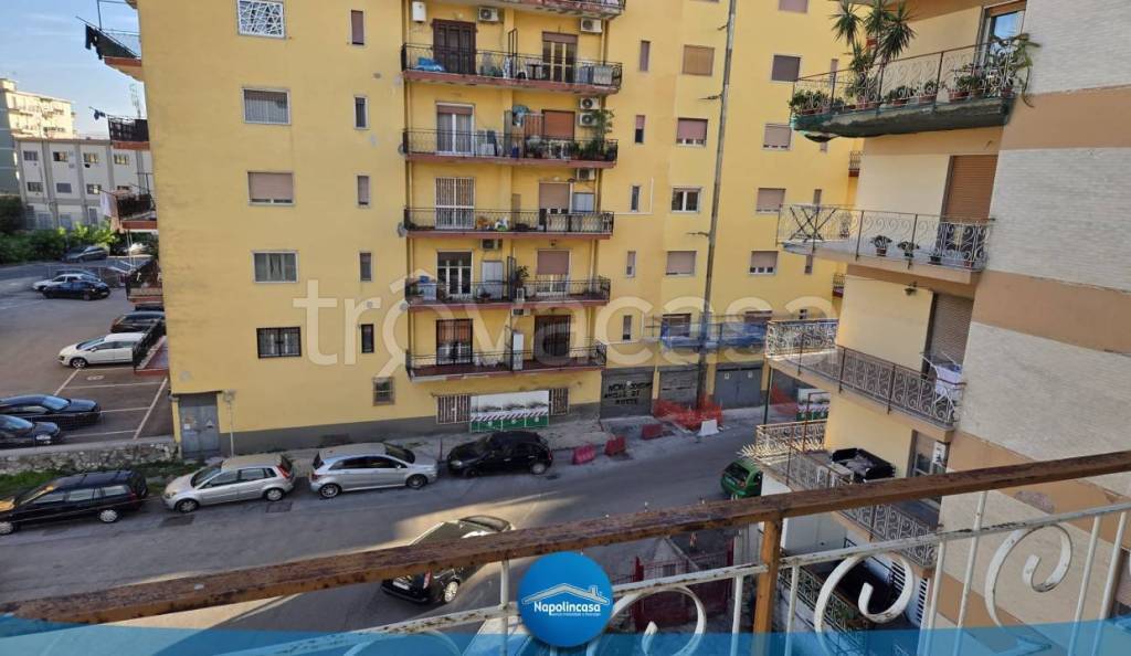 immagine annuncio 13 di 14
