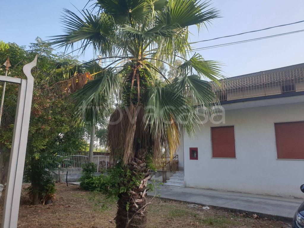 immagine annuncio 4 di 7