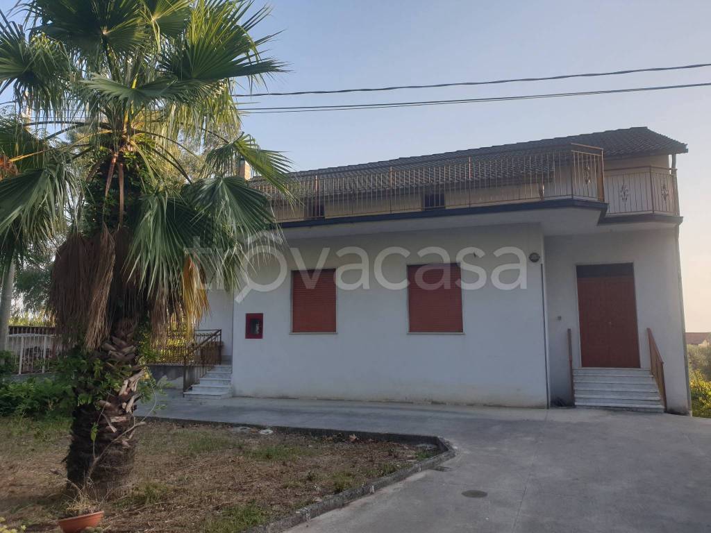 immagine annuncio 5 di 7