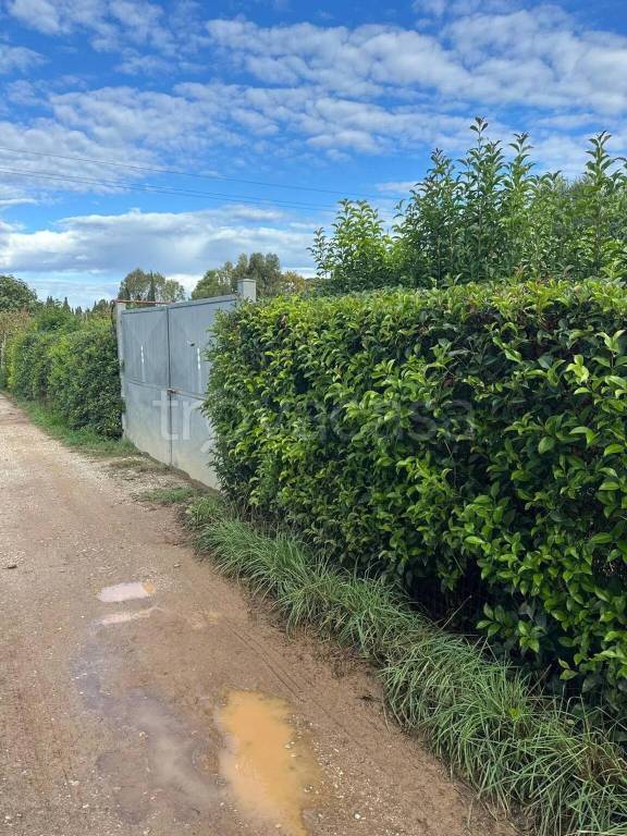 immagine annuncio 1 di 8