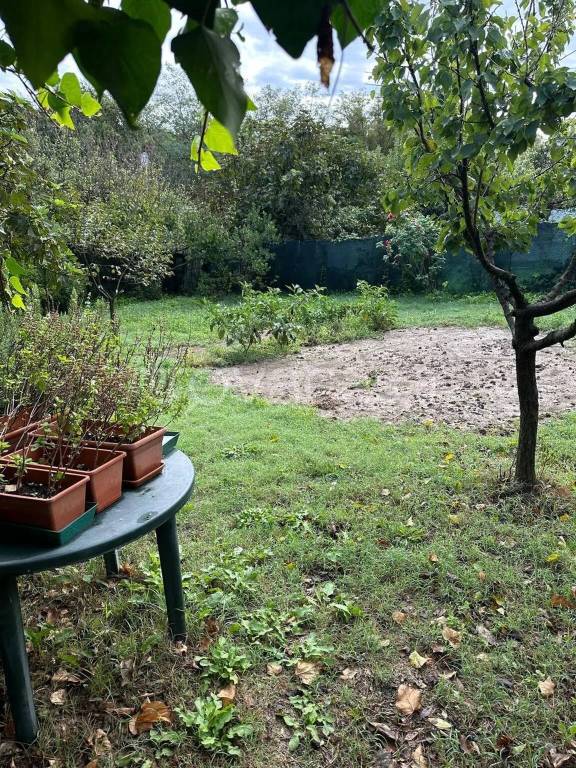 immagine annuncio 5 di 8