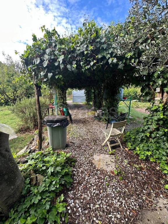 immagine annuncio 6 di 8