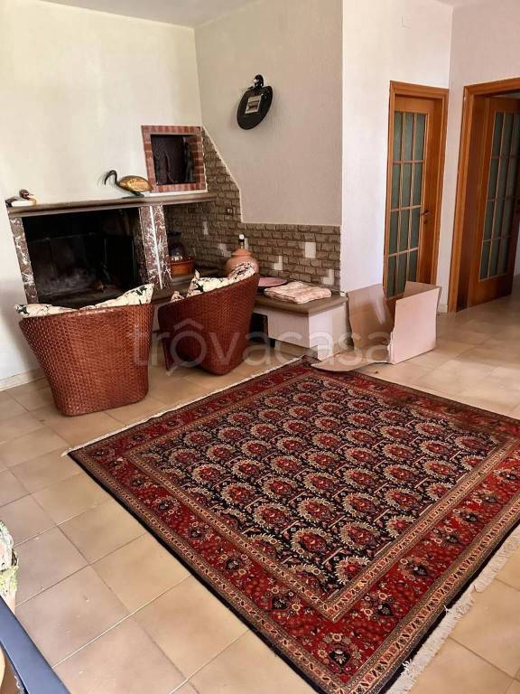 immagine annuncio 3 di 12