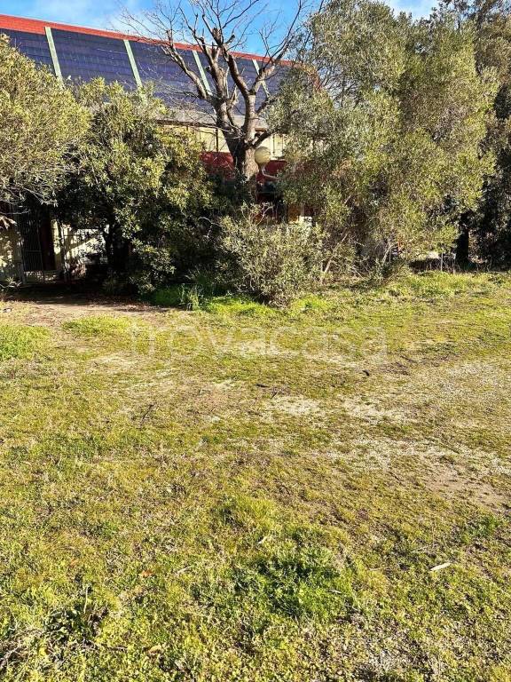 immagine annuncio 6 di 12