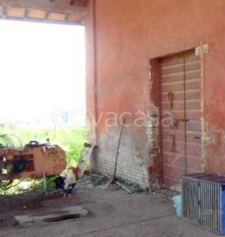 immagine annuncio 9 di 14