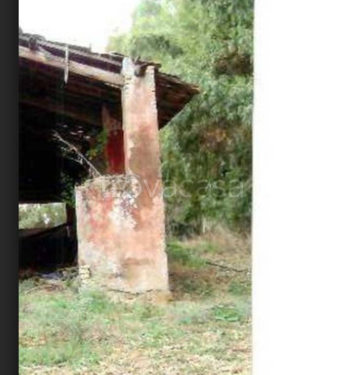 immagine annuncio 11 di 14