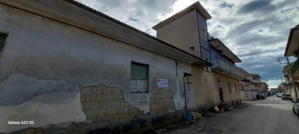 immagine annuncio 5 di 12