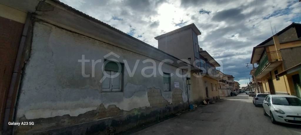 immagine annuncio 9 di 12