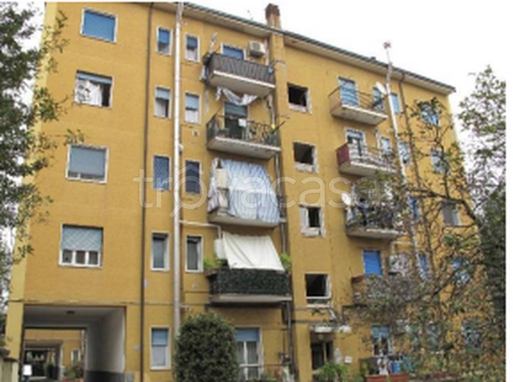 immagine annuncio 7 di 12