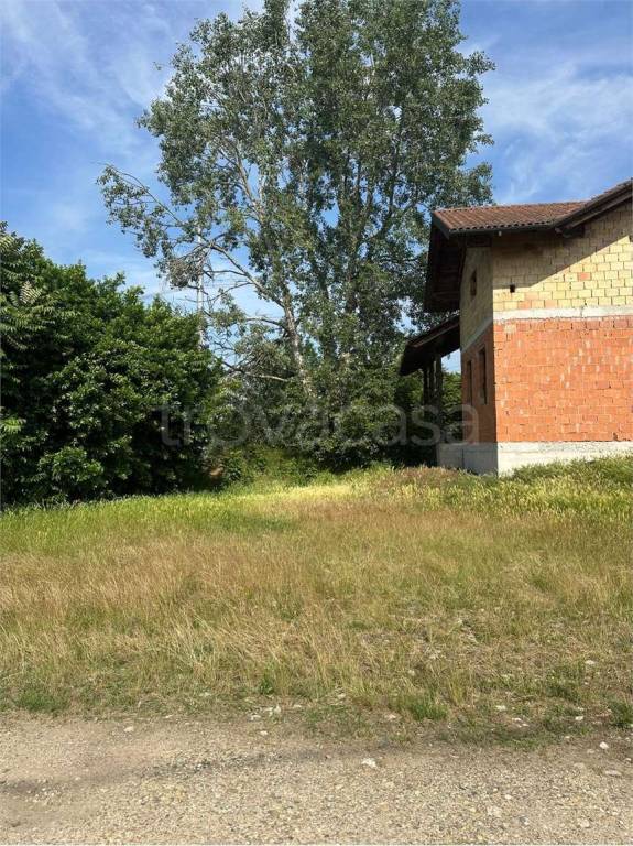 immagine annuncio 1 di 12