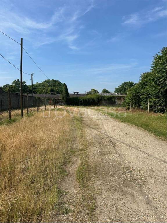 immagine annuncio 11 di 12