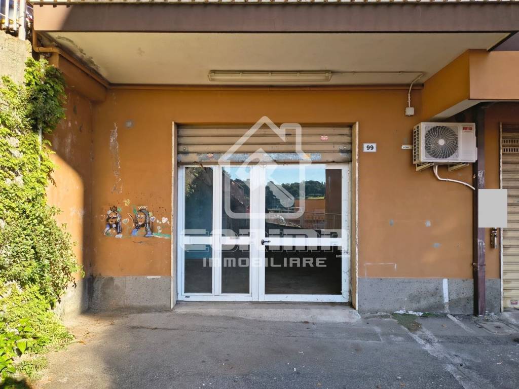 immagine annuncio 2 di 7