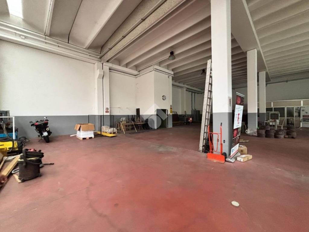 immagine annuncio 11 di 15