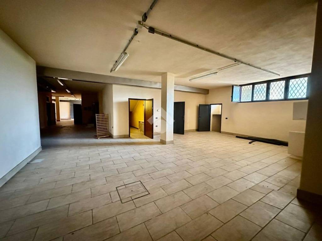 immagine annuncio 11 di 12