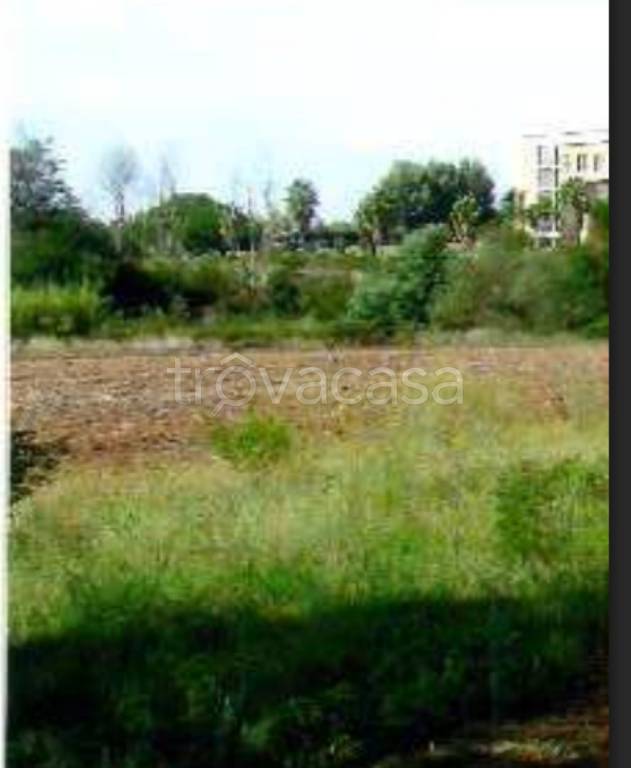 immagine annuncio 10 di 14