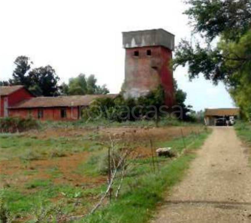 immagine annuncio 11 di 14