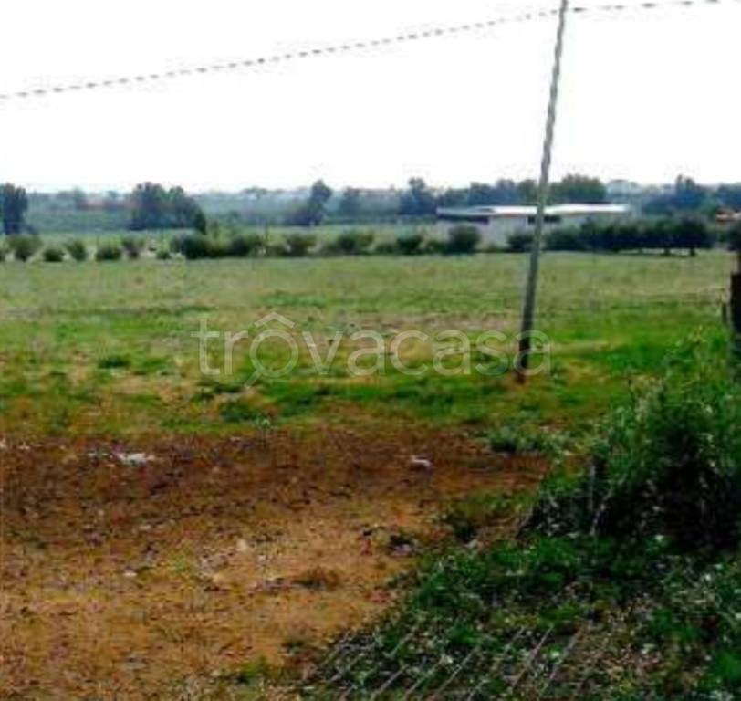 immagine annuncio 13 di 14