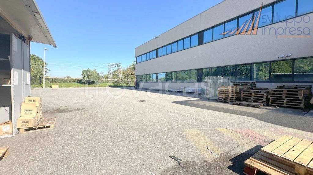 immagine annuncio 5 di 15