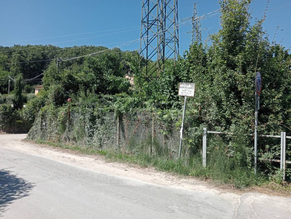 immagine annuncio 3 di 8