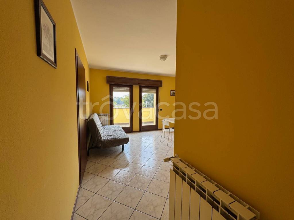 immagine annuncio 1 di 14