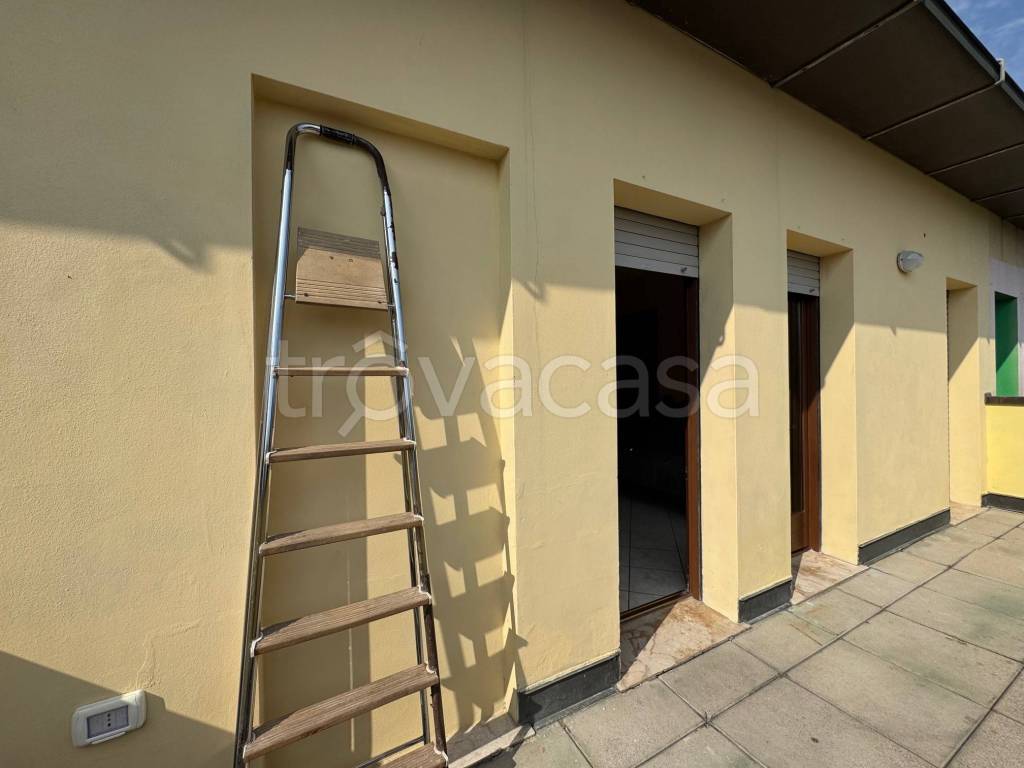 immagine annuncio 12 di 14