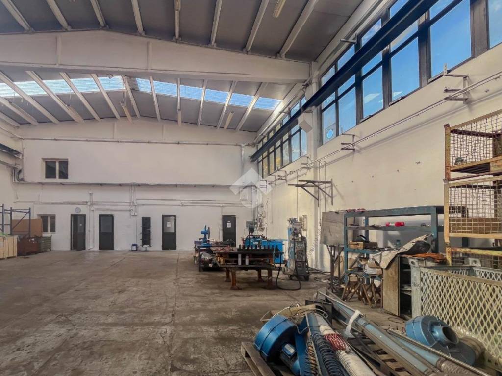 immagine annuncio 3 di 15