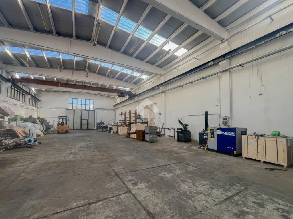 immagine annuncio 9 di 15