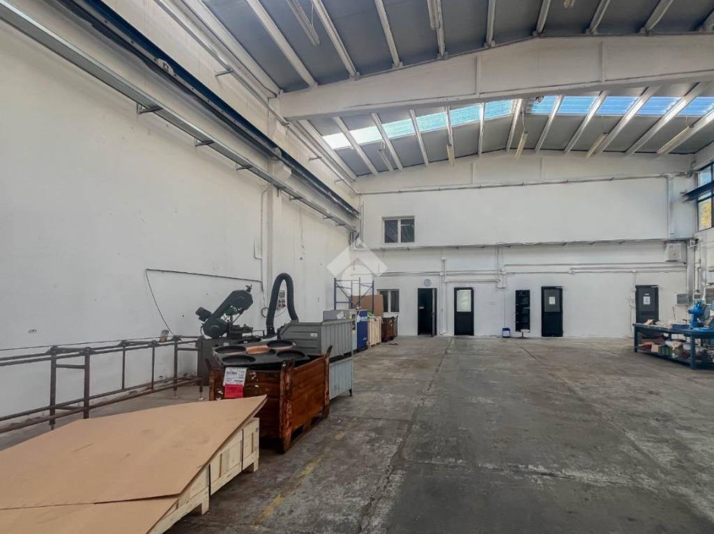 immagine annuncio 11 di 15