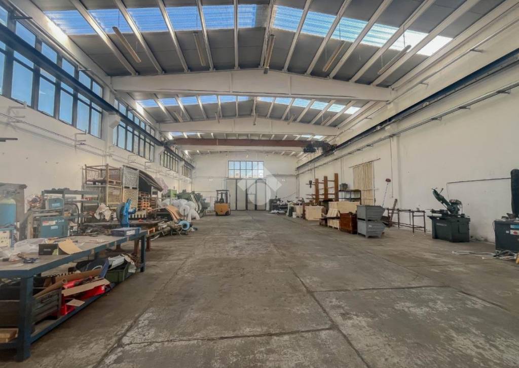 immagine annuncio 12 di 15