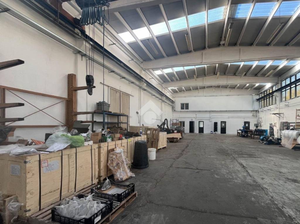 immagine annuncio 13 di 15