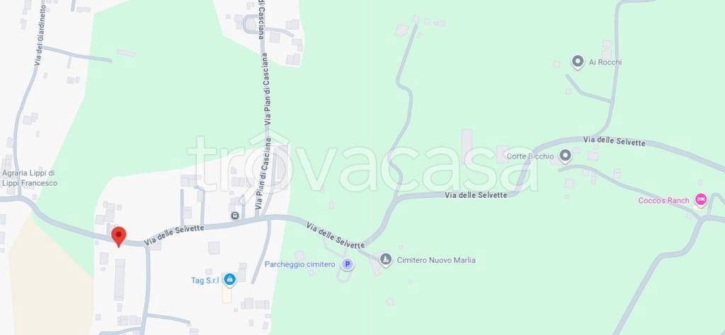 immagine annuncio 5 di 11