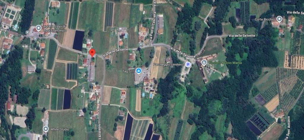 immagine annuncio 9 di 11