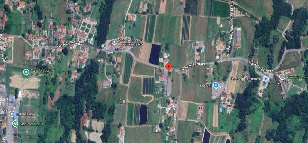 immagine annuncio 10 di 11