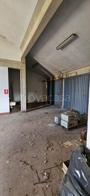 immagine annuncio 3 di 7