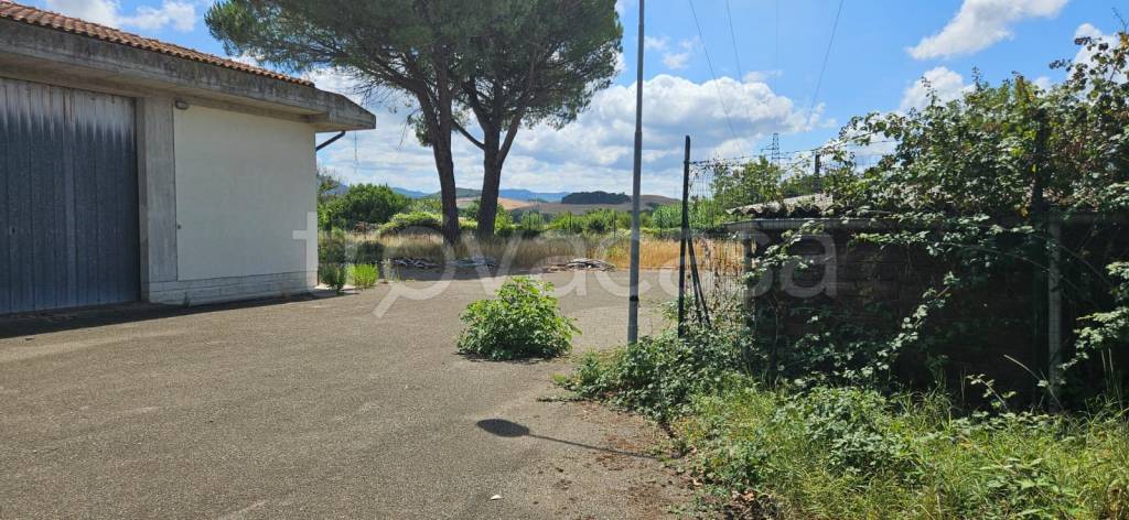 immagine annuncio 4 di 7