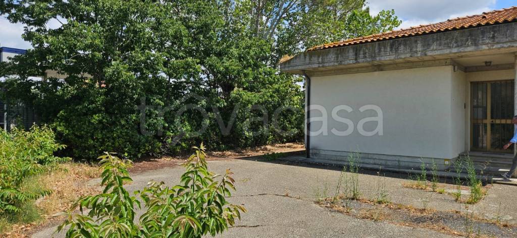 immagine annuncio 5 di 7