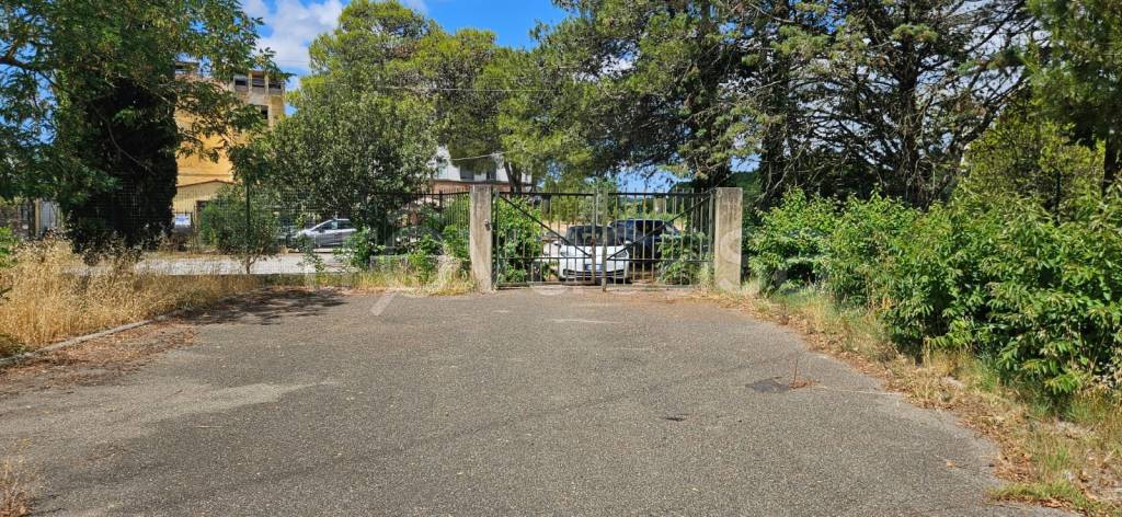 immagine annuncio 6 di 7