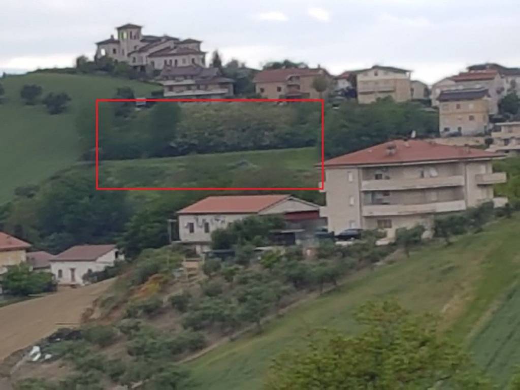 immagine annuncio 1 di 10